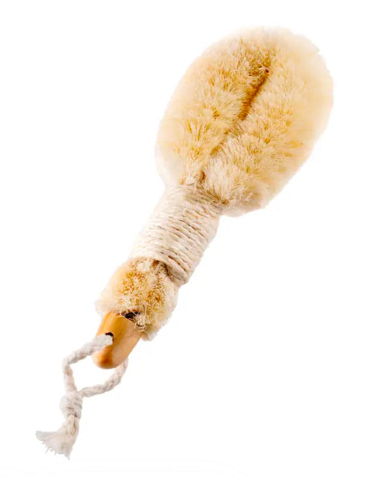 Japanese Body Brush